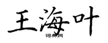 丁謙王海葉楷書個性簽名怎么寫
