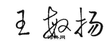 駱恆光王敏揚草書個性簽名怎么寫