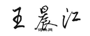 駱恆光王晨江行書個性簽名怎么寫