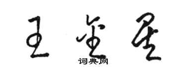 駱恆光王金星草書個性簽名怎么寫