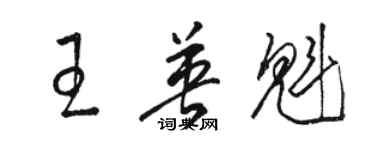 駱恆光王英魁草書個性簽名怎么寫