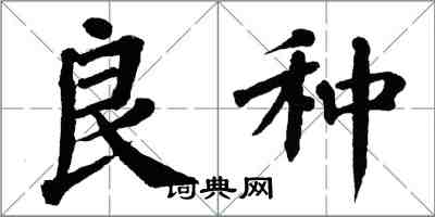 翁闓運良種楷書怎么寫