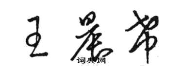 駱恆光王晨希草書個性簽名怎么寫