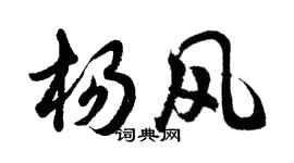 胡問遂楊風行書個性簽名怎么寫