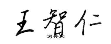 王正良王智仁行書個性簽名怎么寫