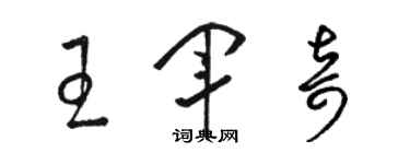 駱恆光王軍奇草書個性簽名怎么寫