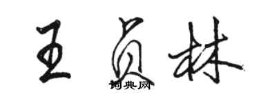 駱恆光王貞林行書個性簽名怎么寫