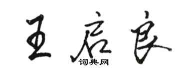 駱恆光王啟良行書個性簽名怎么寫