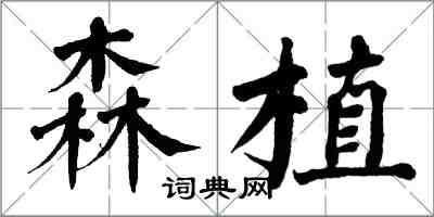 翁闓運森植楷書怎么寫