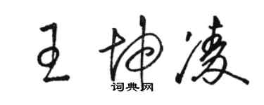 駱恆光王坤凌草書個性簽名怎么寫