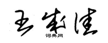 朱錫榮王成佳草書個性簽名怎么寫