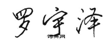 駱恆光羅宇澤行書個性簽名怎么寫