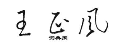 駱恆光王正風草書個性簽名怎么寫