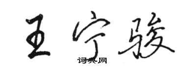 駱恆光王寧駿行書個性簽名怎么寫