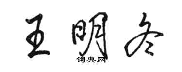 駱恆光王明冬行書個性簽名怎么寫