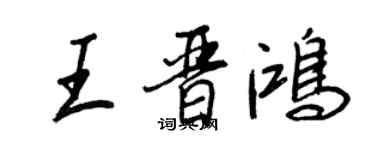 王正良王晉鴻行書個性簽名怎么寫