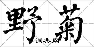 翁闓運野菊楷書怎么寫