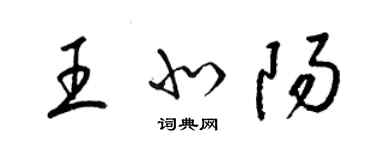 梁錦英王北陽草書個性簽名怎么寫