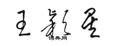 駱恆光王穎星草書個性簽名怎么寫