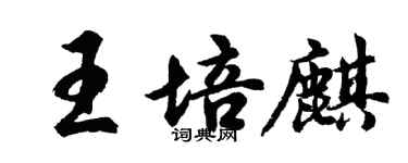 胡問遂王培麒行書個性簽名怎么寫
