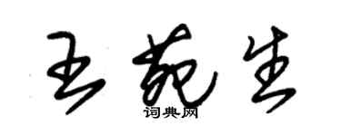 朱錫榮王苑生草書個性簽名怎么寫