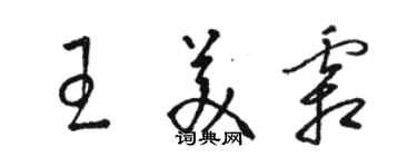 駱恆光王美霜草書個性簽名怎么寫