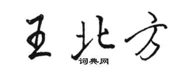 駱恆光王北方行書個性簽名怎么寫
