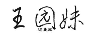 駱恆光王園妹行書個性簽名怎么寫