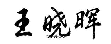 胡問遂王曉暉行書個性簽名怎么寫