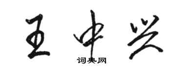 駱恆光王中興行書個性簽名怎么寫