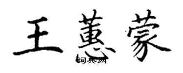 丁謙王蕙蒙楷書個性簽名怎么寫