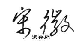 駱恆光宋徽草書個性簽名怎么寫