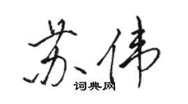 駱恆光蘇偉行書個性簽名怎么寫