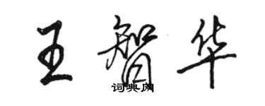 駱恆光王智華行書個性簽名怎么寫