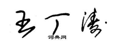 朱錫榮王丁濤草書個性簽名怎么寫