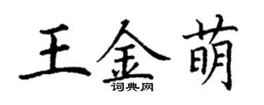 丁謙王金萌楷書個性簽名怎么寫