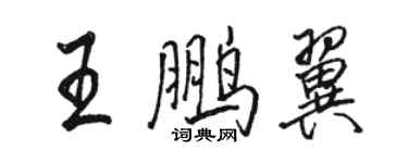 駱恆光王鵬翼行書個性簽名怎么寫