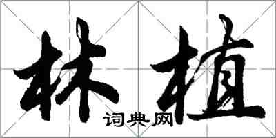 胡問遂林植行書怎么寫