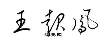 梁錦英王起鳳草書個性簽名怎么寫