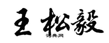 胡問遂王松毅行書個性簽名怎么寫
