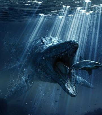 滄龍竟是龍族最強者 滄龍種群分布