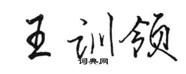 駱恆光王訓領行書個性簽名怎么寫