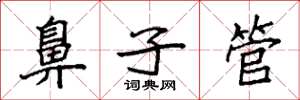 袁強鼻子管楷書怎么寫