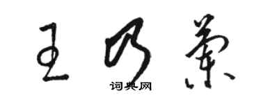 駱恆光王乃蘭草書個性簽名怎么寫