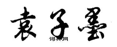 胡問遂袁子墨行書個性簽名怎么寫