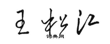 駱恆光王松江草書個性簽名怎么寫