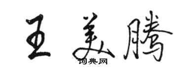 駱恆光王美騰行書個性簽名怎么寫