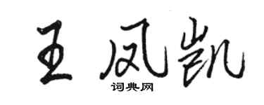 駱恆光王鳳凱行書個性簽名怎么寫