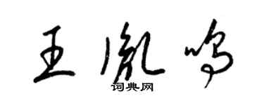 梁錦英王胤鳴草書個性簽名怎么寫