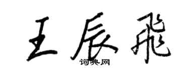 王正良王辰飛行書個性簽名怎么寫